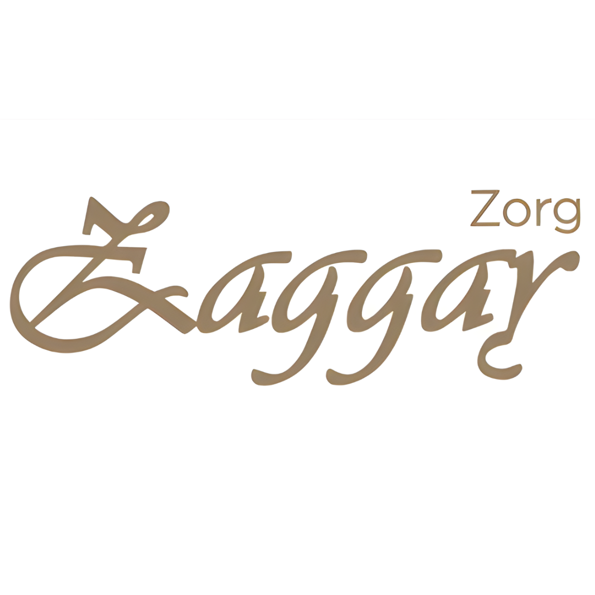 Zaggay Zorg
