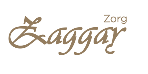 Zorg Zaggay logo